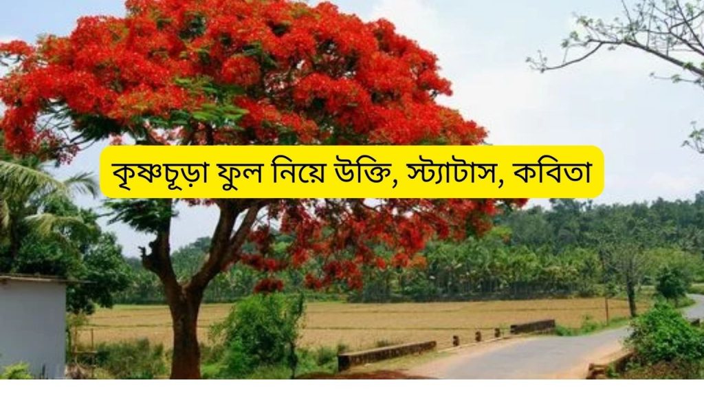 কৃষ্ণচূড়া ফুল নিয়ে উক্তি, স্ট্যাটাস, কবিতা